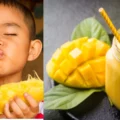 বাচ্চাকে আম কখন দেয়া যায়