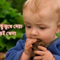 শিশুর ময়লা খাওয়া বন্ধ করার খেলা